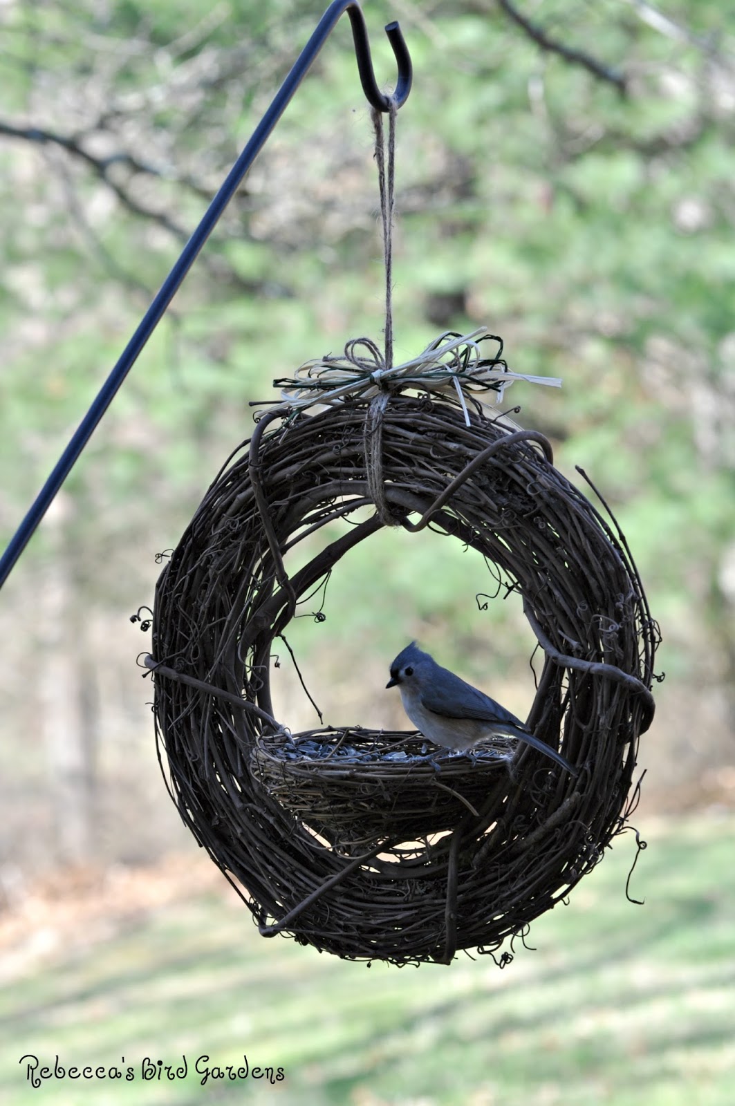 Rebecca's Bird Gardens Blog DIY Grapevine Bird Feeder
