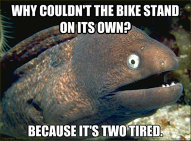 Stupid Jokes Photos Stupid Jokes Photos