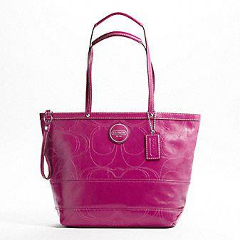Dalila's Collection: Coach Tote Bag