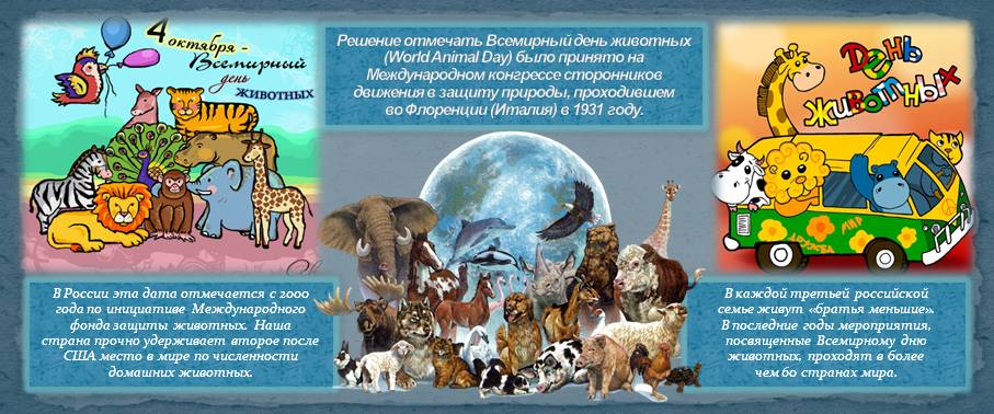 День животных в россии в 2024. Всемирный день животных 2022. День защиты животных в 2022 году. День защиты животных 2023. Всемирный день животных 2022 году будет.