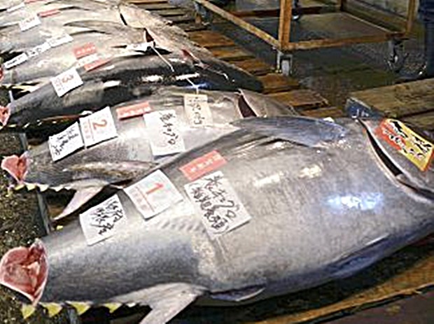 「ワンセント・マゼンタ」:約1,000万ドルで落札された希少な切手