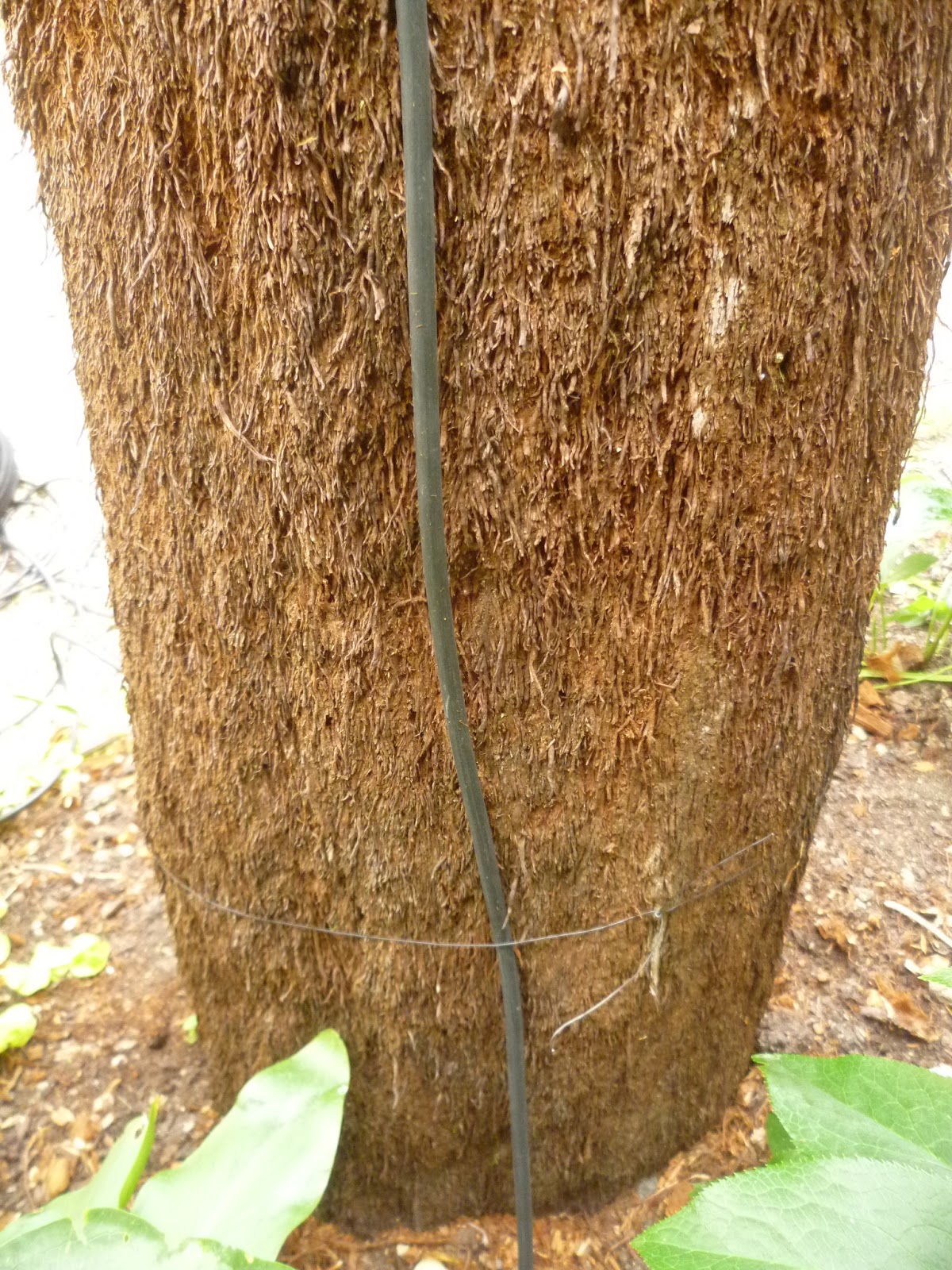 Worcester College Gardeners 20092018 A New Irrigation System For The