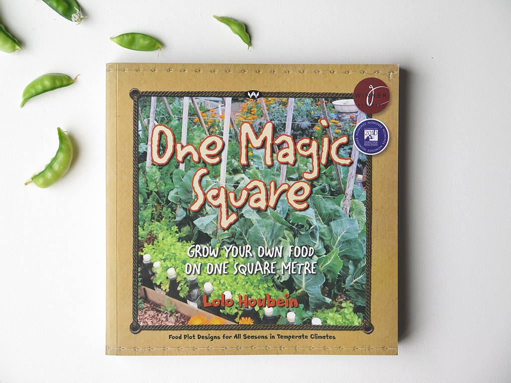 Green Reads: One Magic Square by Lolo Houbein