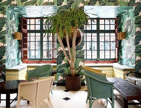 tropical wallpaper at Indochine NYC