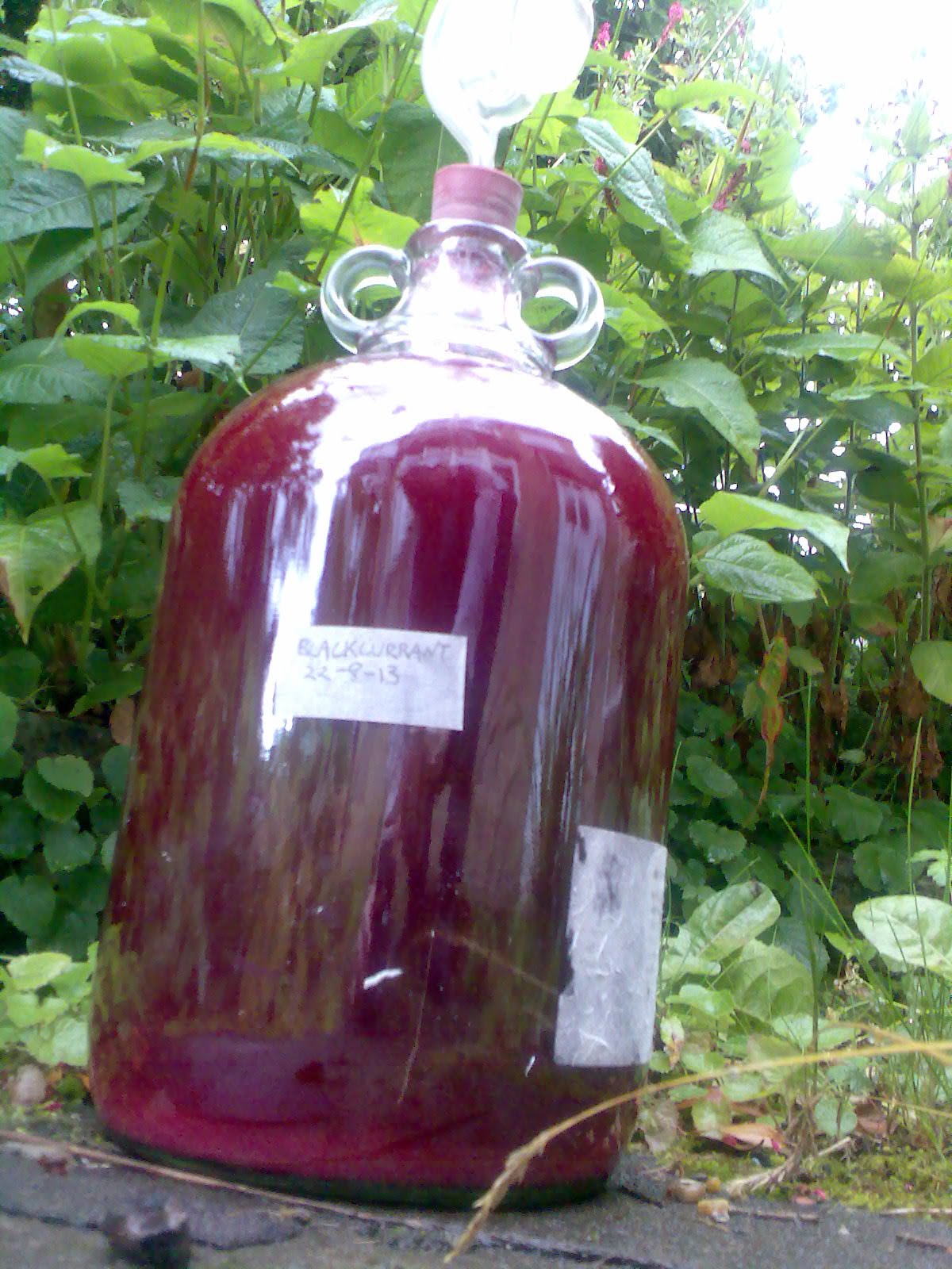 Ben's Adventures in Wine Making Blackcurrant Wine 2013 The Making Of