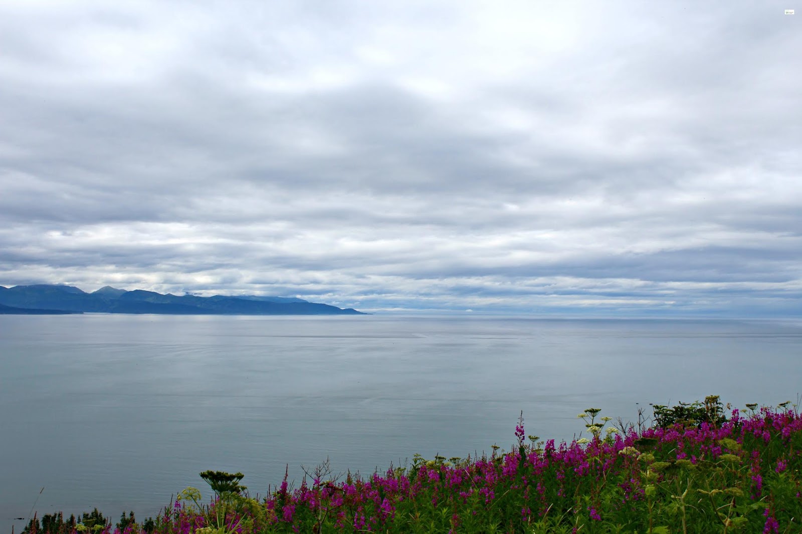 A Brief History of Homer // Alaska Caravan