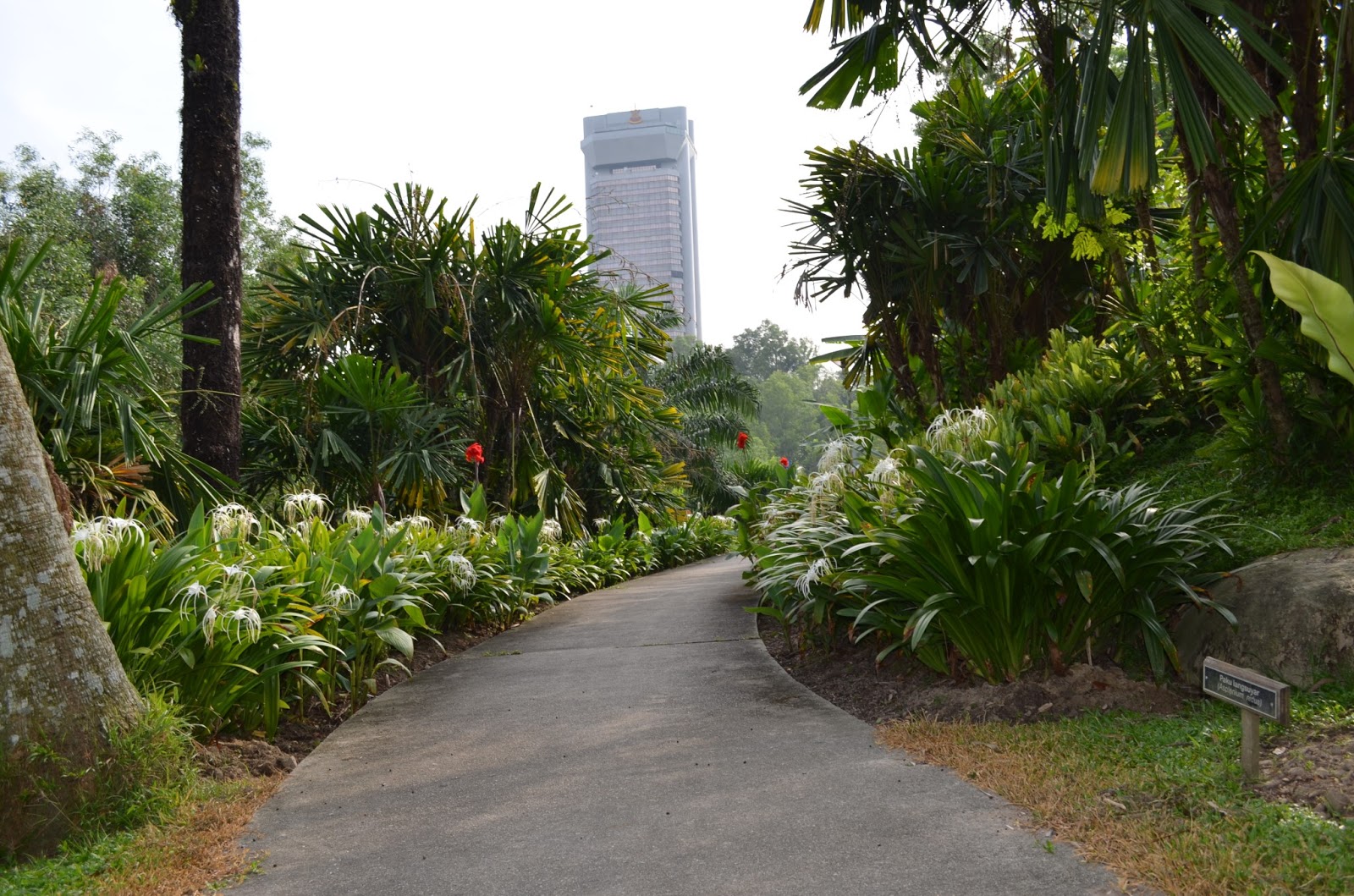 My Photography: Taman Lembah Bukit SUK Shah Alam, Selangor.