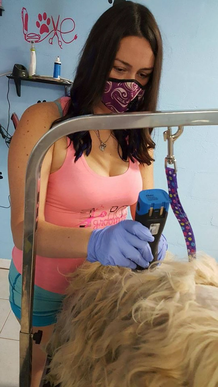 Dog Groomer Opened Her Shop In Middle Of The Night To Give A Stray Dog A Haircut