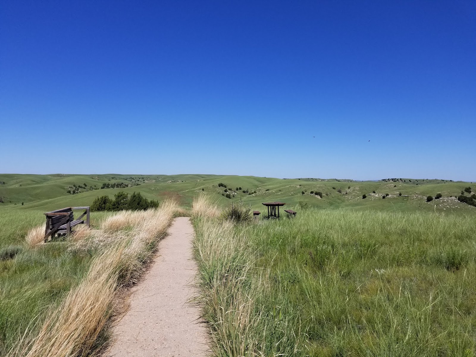 Wilderness Wanderings Oregon Trail Windlass Hill Ash Hollow