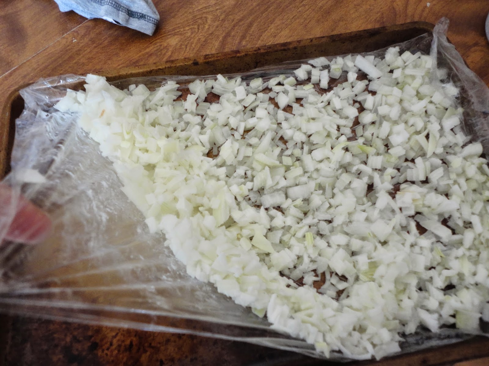 Pinkaton Family Food Storage Onions