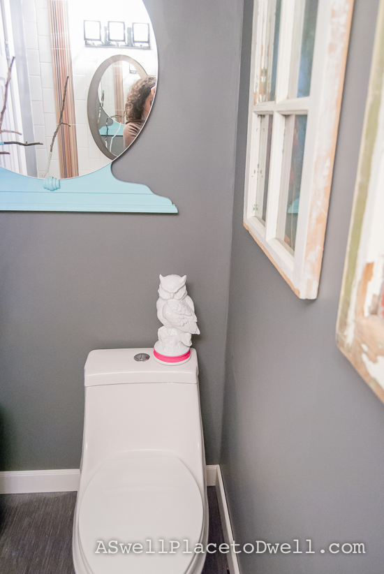 Basement Bathroom with Spray Painted Ceramic Owl