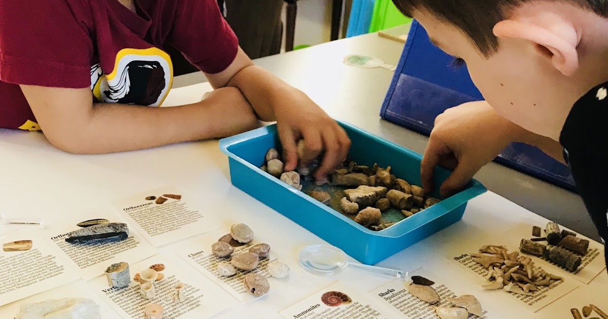 Being Great with Mrs. Bates Fossil Sorting Activity Kit