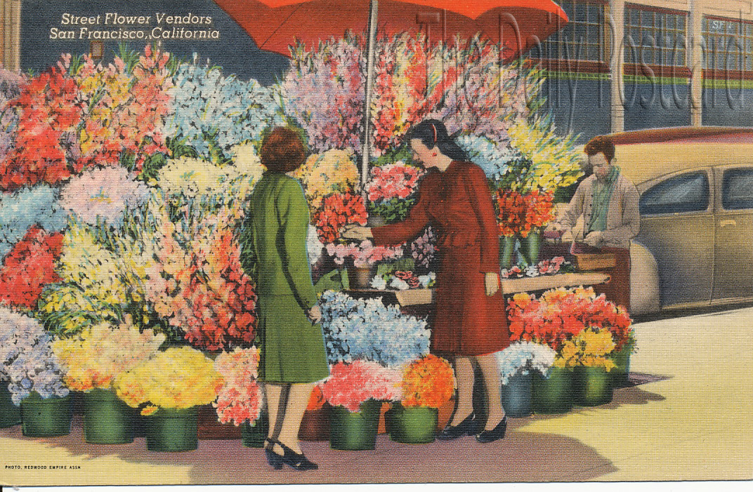 The Daily Postcard More San Francisco Flower Vendors
