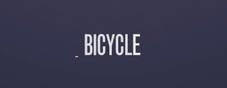 bike's basic