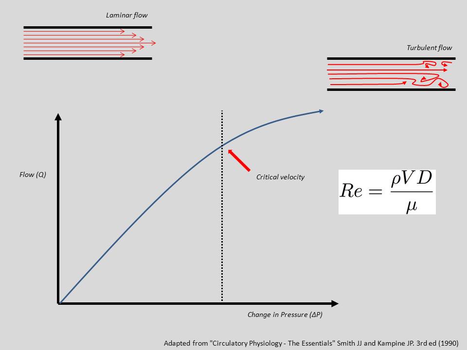 The Pump and the Tubes: Hemodynamics -- Turbulence & flow separation
