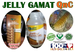 QNC Jelly Gamat