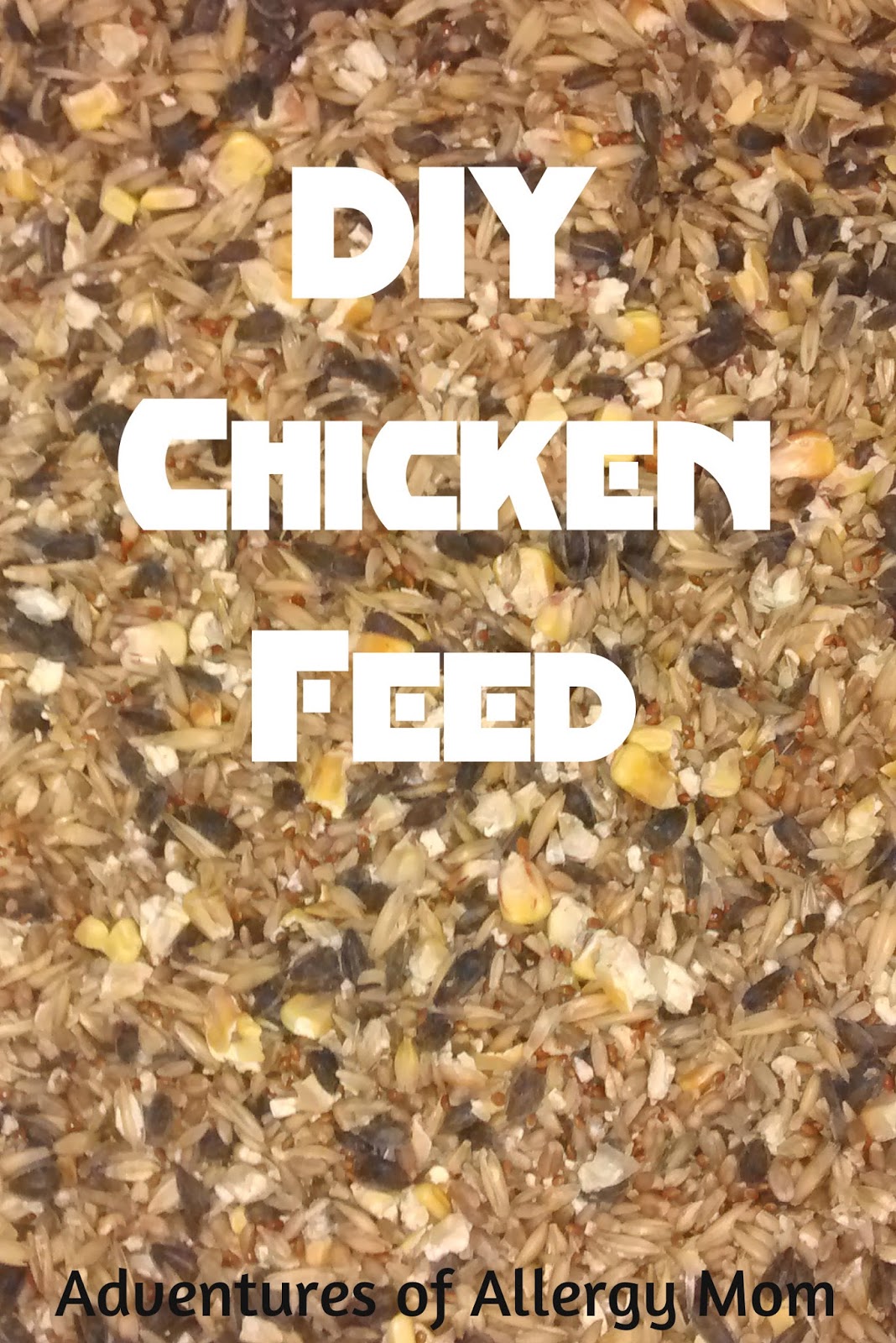 Adventures of Allergy Mom DIY Chicken Feed