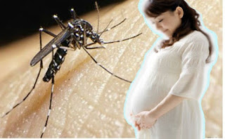 chống muỗi phòng sốt xuất huyết cho bà bầu