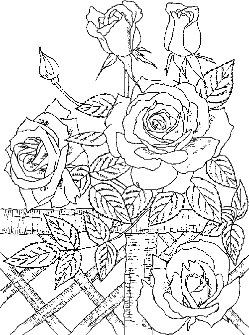 flower coloring pages holiday.filminspector.com