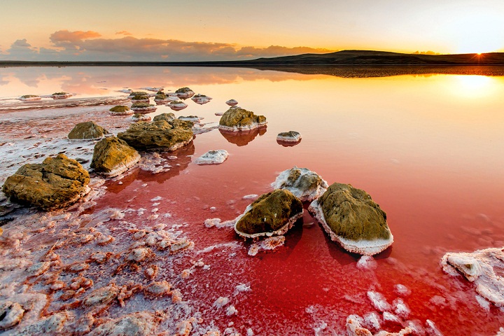 Koyashskoye, Danau Indah dengan Air Merah Muda Koyashskoye, Danau Indah dengan Air Merah Muda