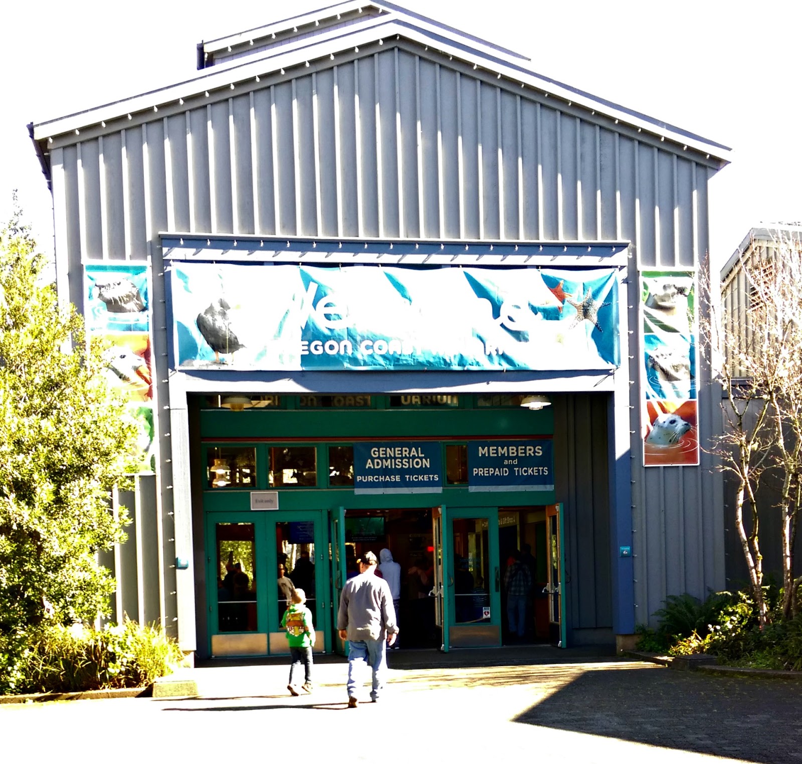 Living Locally: The Oregon Coast Aquarium - Newport Aquarium 15