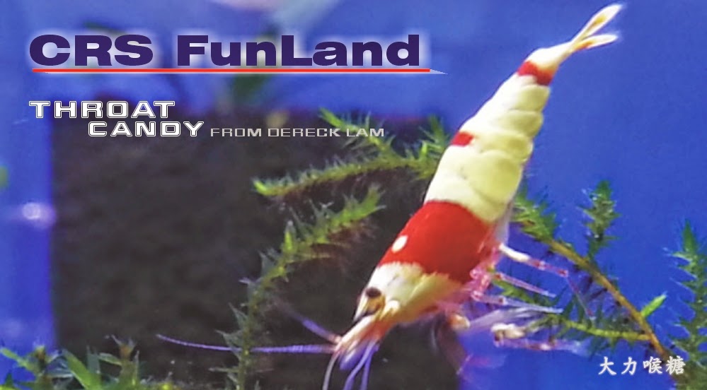 CRS FunLand