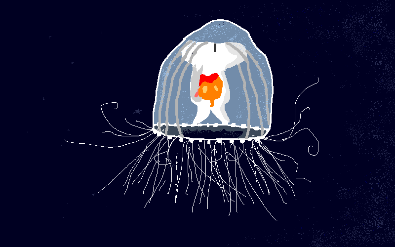 Creatures 'n' Critters: The Immortal Jellyfish
