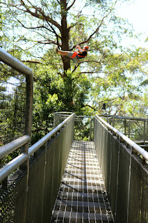 Alphabet Dating Letter O Outdoor Adventure - Illawarra Fly Treetop Walk Review