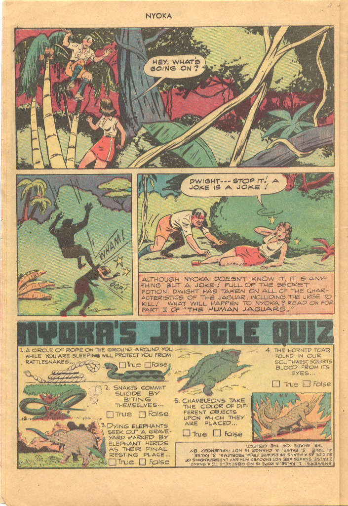 Read online Nyoka the Jungle Girl (1945) comic -  Issue #24 - 8