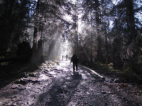 Dolina Strążyska.