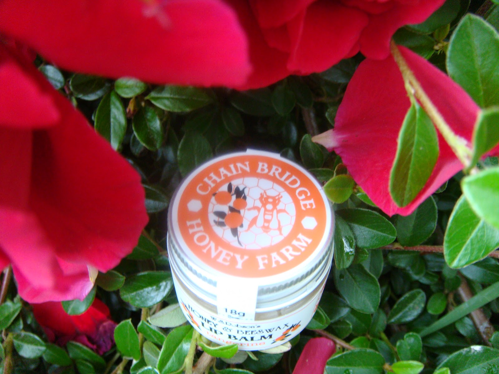 Naturalna Dusza Miodowa mandarynka, czyli balsam do ust Tangerine od W