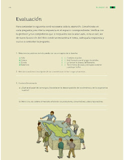 Apoyo Primaria Ciencias Naturales 4to Grado Bloque II Evaluación