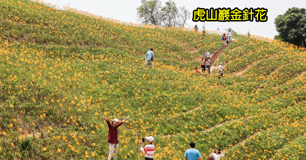 彰化花壇|虎山巖(虎山岩)|三級古蹟|金針花|繡球花|近300年古蹟休憩區|免費參觀 彰化花壇|虎山巖(虎山岩)|三級古蹟|金針花|繡球花|近300年古蹟休憩區|免費參觀