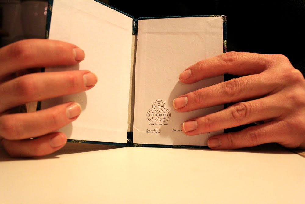 Thrift Trick DIY Address book into ipod/iphone Carrier!