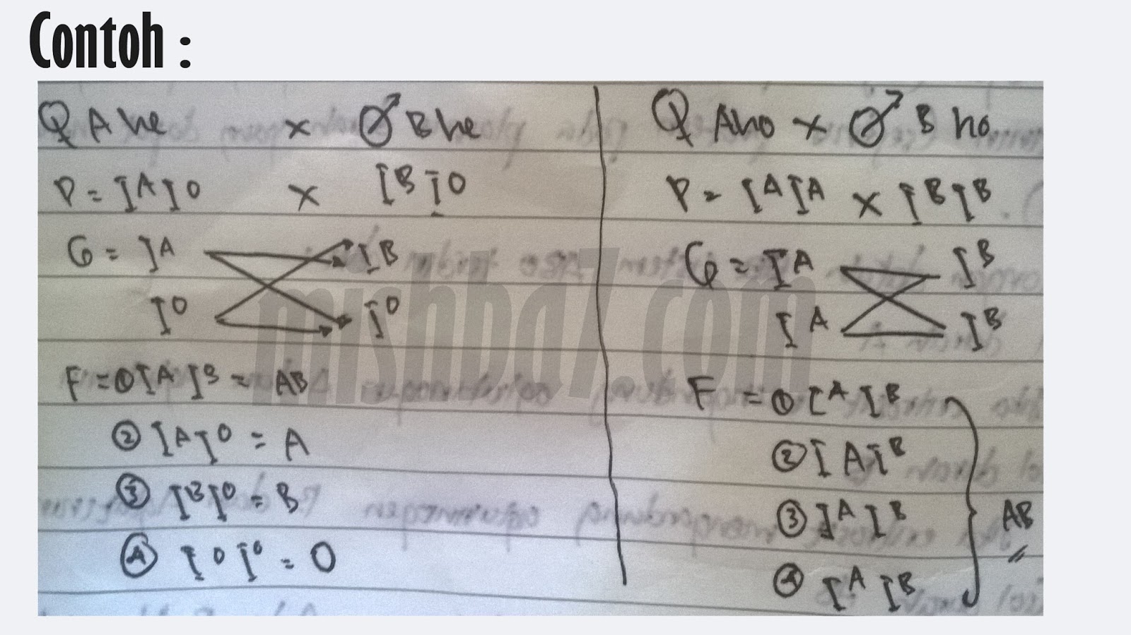 Contoh Soal Persilangan Golongan Darah Hal