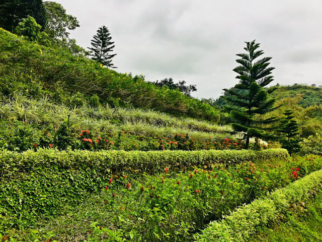 Terrazas de Flores Botanical Garden