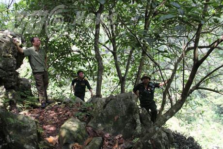 Chuyen chua ke ve cuoc tu chien voi quan Trung Quoc o 'Lo voi the ky' Ha Giang - Anh 2