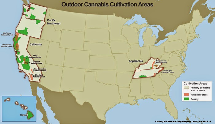 Map - U.S. Outdoor Cannibis Cultivation Areas - Source: http://www.deamuseum.org/ccp/cannabis/production-distribution.html