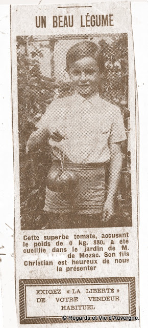 Tomate de 880 grammes à Mozac, Auvergne en 1960.
