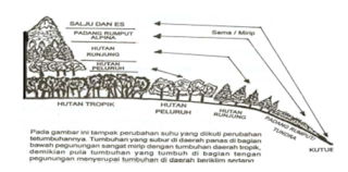 biodiversitas - Jaini Loen