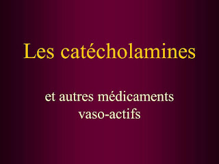Les catécholamines .pdf