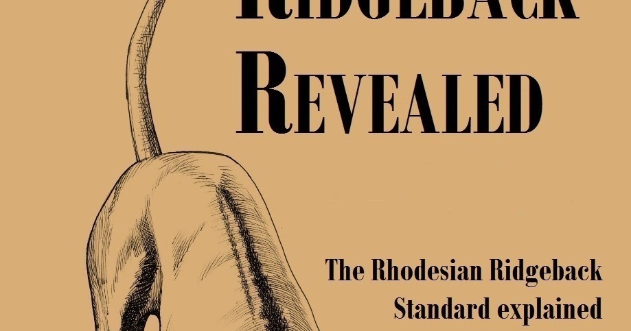 ridgeback tour 2019 review