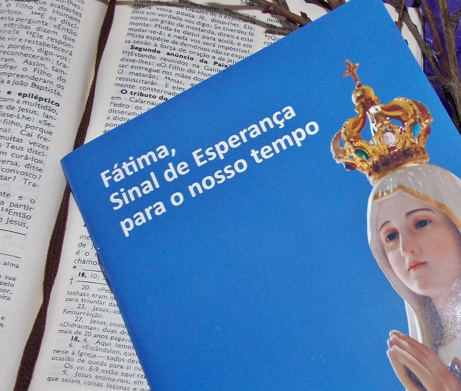 PENSAMENTO DO DIA  -   Fátima Missionária