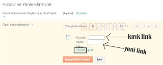 blogspot-seo-ayarlarinizi-yapin-ozel-yonlendirmeler.jpg