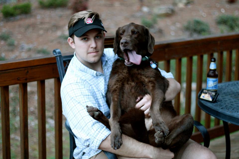 chocolate lab