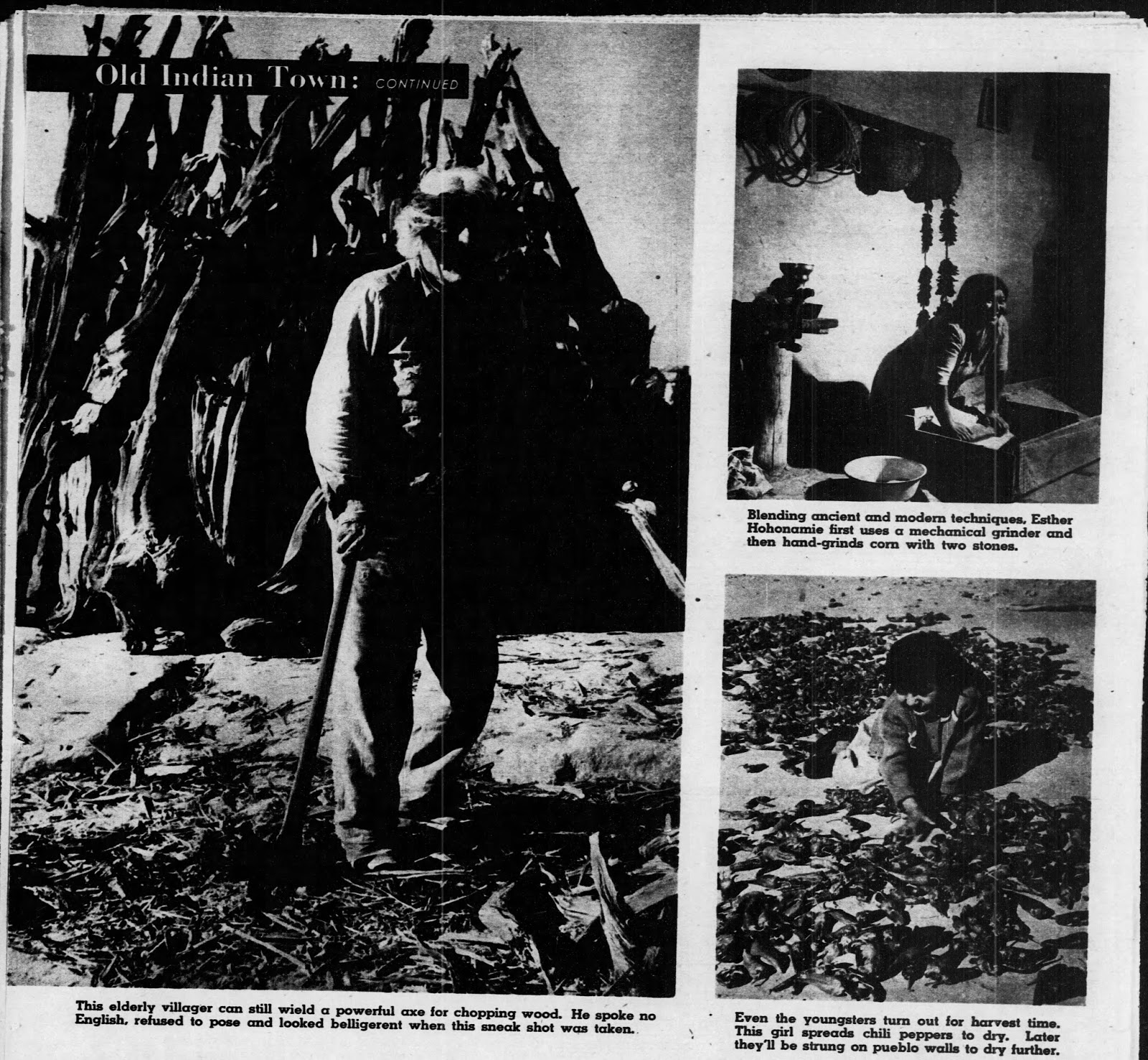 the trail of tears indian genocide essay Instead of mass killing, the us eliminated the cherokee by forcing them to migrate across the mississippi into designated lands on the infamous trail of tears the us didn’t directly slaughter the cherokees, but thousands died from disease, fatigue, and frigid temperatures. the trail of tears indian genocide essay Instead of mass killing, the us eliminated the cherokee by forcing them to migrate across the mississippi into designated lands on the infamous trail of tears the us didn’t directly slaughter the cherokees, but thousands died from disease, fatigue, and frigid temperatures.