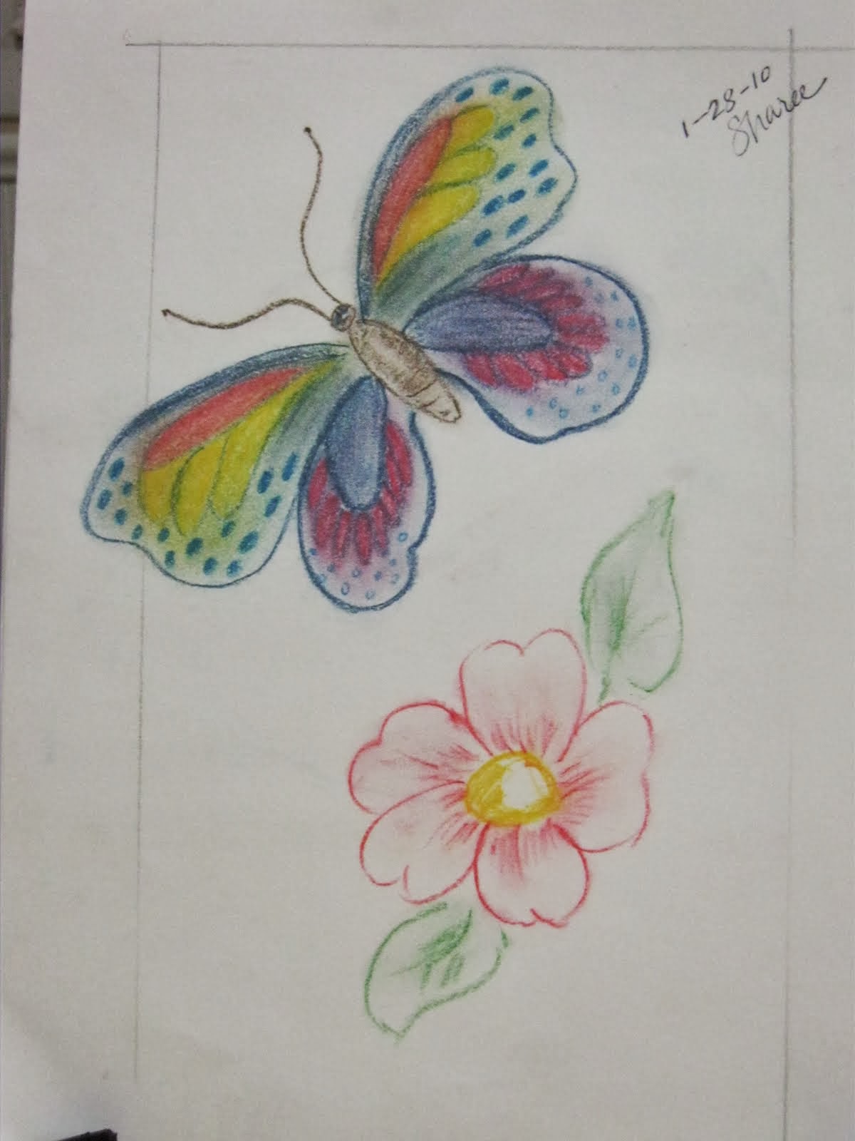 Rainbow Butterfly