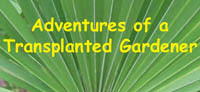 Adventures or a Transplanted Gardener page