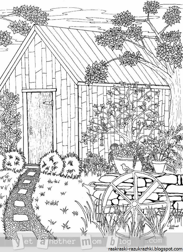 Раскраска Сад