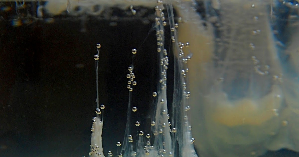 Barca Di San Pietro Vele Aperte 28/29 Giugno: La barca di San Pietro - The boat of Saint Peter